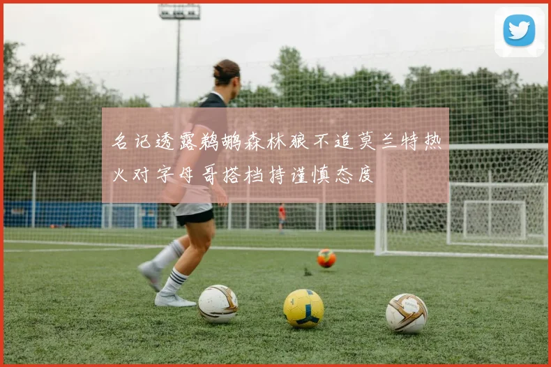 名记透露鹈鹕森林狼不追莫兰特热火对字母哥搭档持谨慎态度