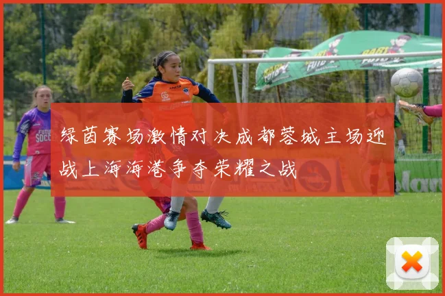 绿茵赛场激情对决成都蓉城主场迎战上海海港争夺荣耀之战